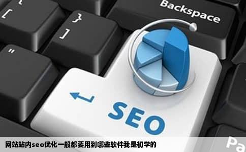 网站站内seo优化一般都要用到哪些软件我是初学的