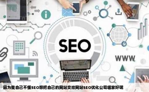 因为我自己不懂SEO想把自己的网站交给网站SEO优化公司哪家好呢