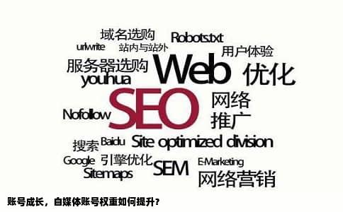 账号成长，自媒体账号权重如何提升？