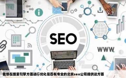 我想在搜索引擎方面进行优化是否有专业的北京seo公司提供这方面