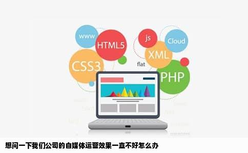 想问一下我们公司的自媒体运营效果一直不好怎么办