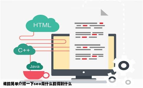 谁能简单介绍一下seo是什么能得到什么