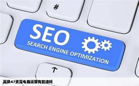 高级47资深电商运营有前途吗