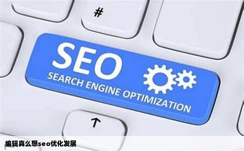 编辑真么想seo优化发展