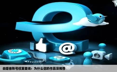自媒体账号权重查询：为什么你的作品没推荐