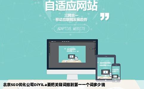 北京SEO优化公司DiYiLa要把关键词排到第一一个词多少钱
