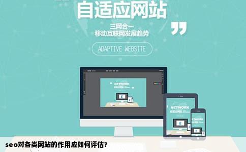 seo对各类网站的作用应如何评估？
