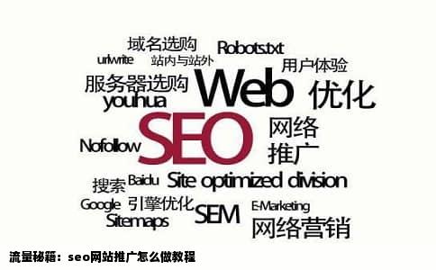 流量秘籍：seo网站推广怎么做教程