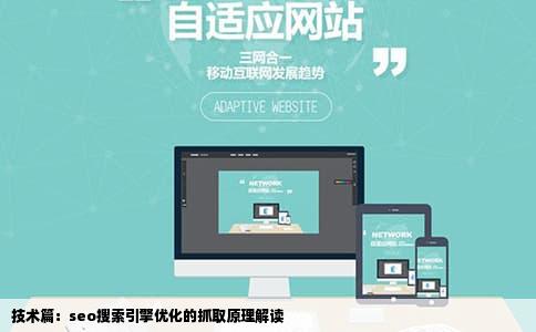 技术篇：seo搜索引擎优化的抓取原理解读