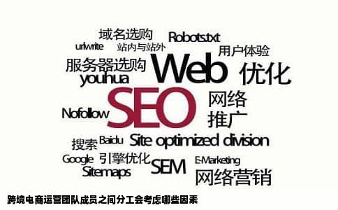 跨境电商运营团队成员之间分工会考虑哪些因素