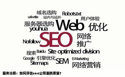 服务比照：如何评估seo公司案例质量？