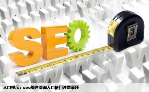 入口提示：seo综合查询入口使用注意事项