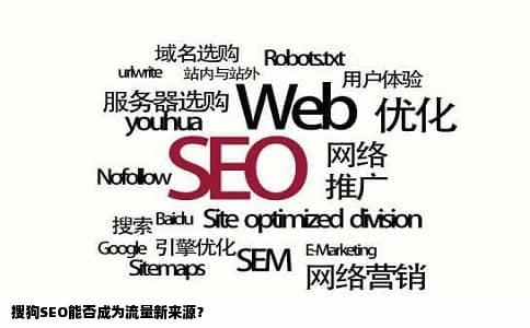 搜狗SEO能否成为流量新来源？