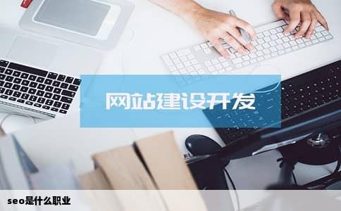seo是什么职业