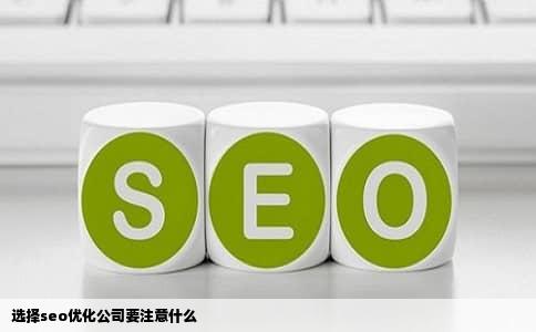选择seo优化公司要注意什么