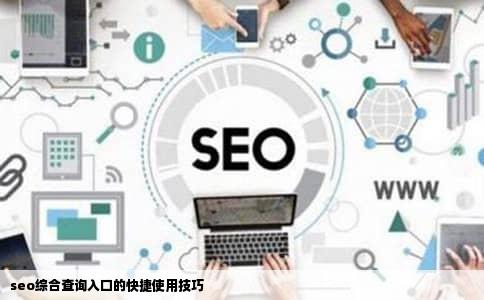 seo综合查询入口的快捷使用技巧