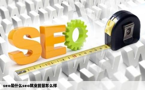 seo是什么seo就业前景怎么样