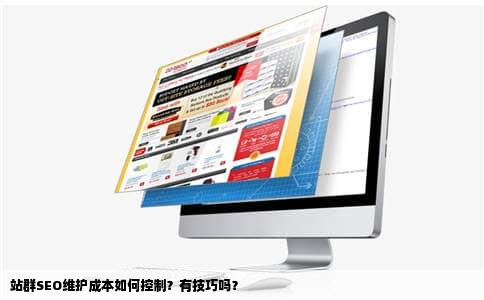 站群SEO维护成本如何控制？有技巧吗？