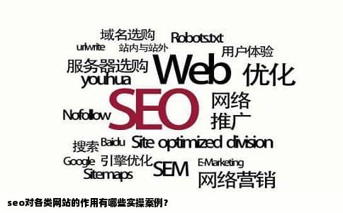 seo对各类网站的作用有哪些实操案例？