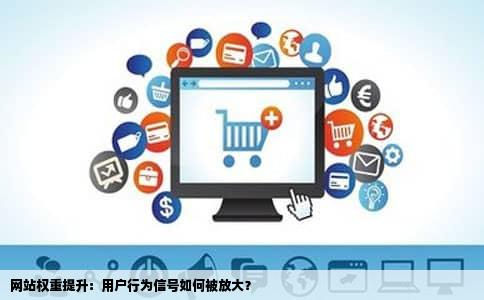 网站权重提升：用户行为信号如何被放大？