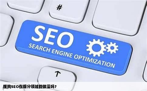 搜狗SEO在细分领域能做深吗？