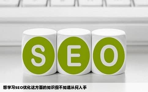 想学习SEO优化这方面的知识但不知道从何入手