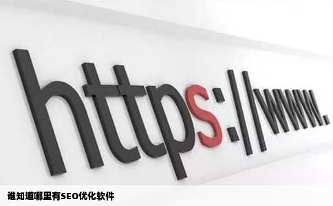 谁知道哪里有SEO优化软件