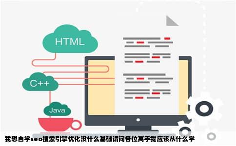 我想自学seo搜索引擎优化没什么基础请问各位高手我应该从什么学