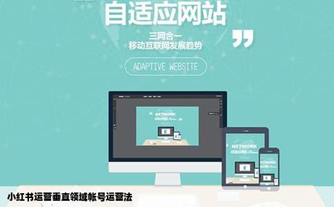 小红书运营垂直领域帐号运营法