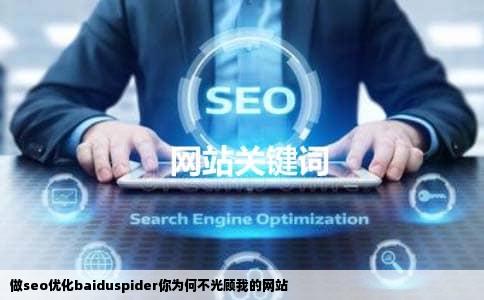 做seo优化baiduspider你为何不光顾我的网站