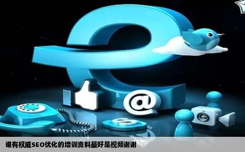 谁有权威SEO优化的培训资料最好是视频谢谢