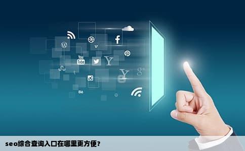 seo综合查询入口在哪里更方便？