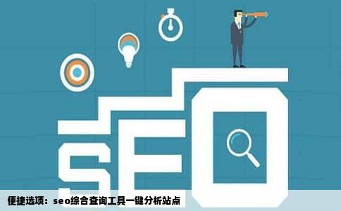 便捷选项：seo综合查询工具一键分析站点