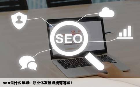 seo是什么意思：职业化发展路线有哪些？