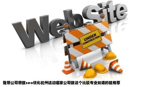 我想公司想做seo优化杭州这边哪家公司做这个比较专业知道的晴推荐