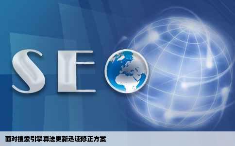 面对搜索引擎算法更新迅速修正方案