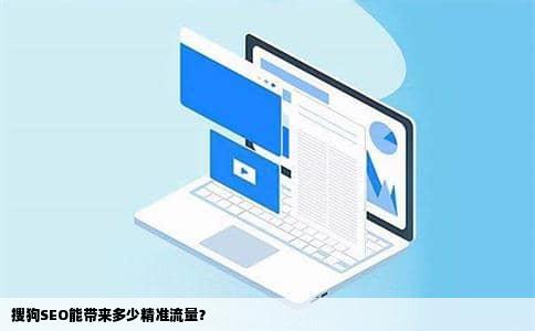 搜狗SEO能带来多少精准流量？