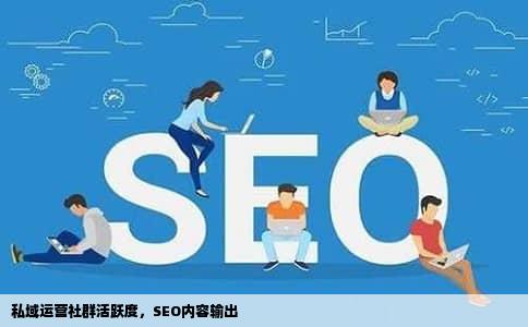 私域运营社群活跃度，SEO内容输出
