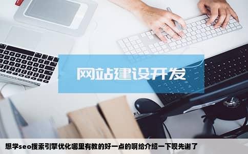 想学seo搜索引擎优化哪里有教的好一点的啊给介绍一下呗先谢了
