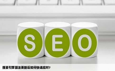 搜索引擎算法更新后如何快速应对？