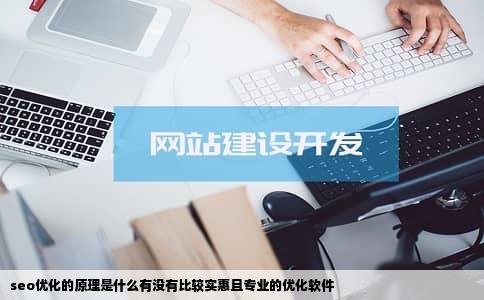 seo优化的原理是什么有没有比较实惠且专业的优化软件