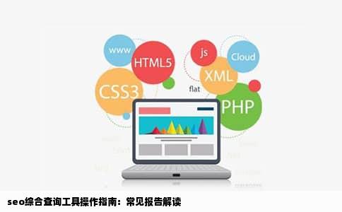 seo综合查询工具操作指南：常见报告解读