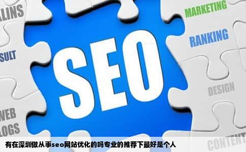 有在深圳做从事seo网站优化的吗专业的推荐下最好是个人