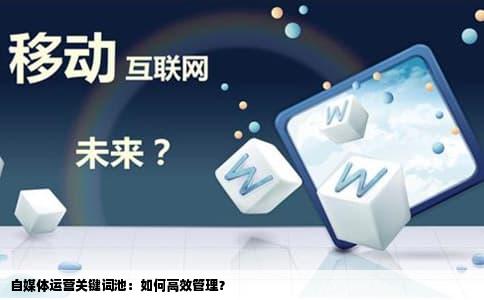 自媒体运营关键词池：如何高效管理？