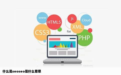 什么是seoseo是什么意思