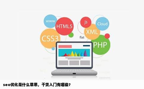 seo优化是什么意思，干货入门有哪些？