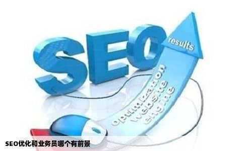 SEO优化和业务员哪个有前景